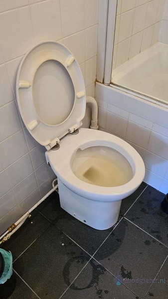  verstopping toilet Montfoort